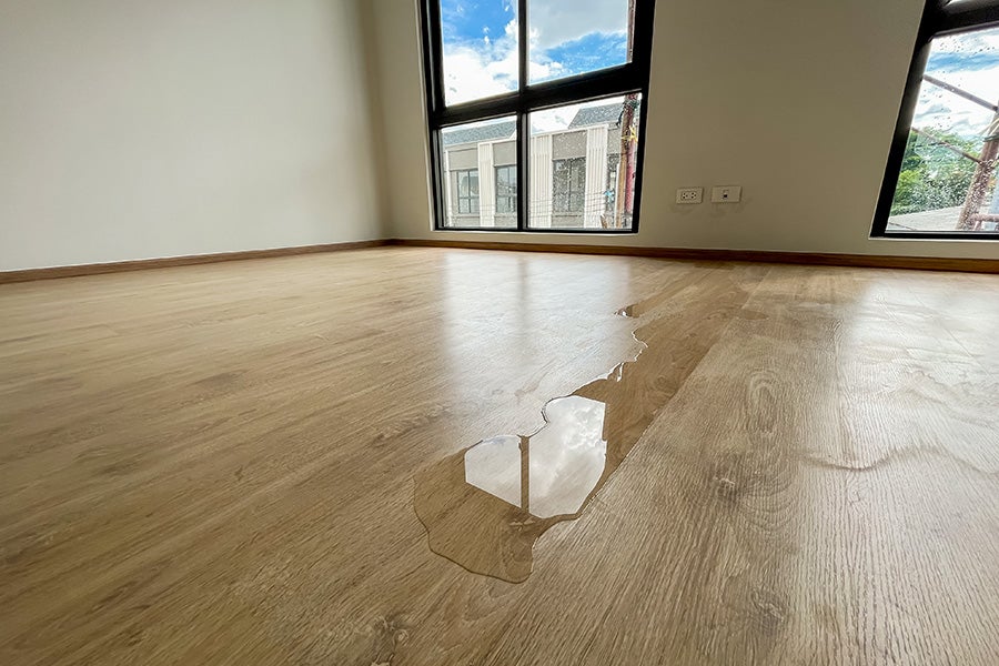 Water pooled on a wooden floor from a leak under the boards.
