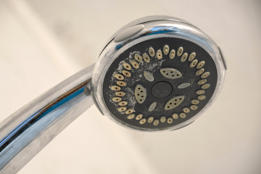 Mould on a shower head before mould removal