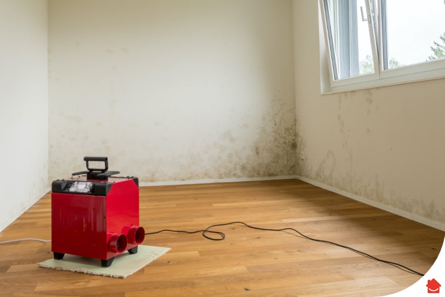 Room with mould on the walls being aired out to remove the damp smell caused by the mould
