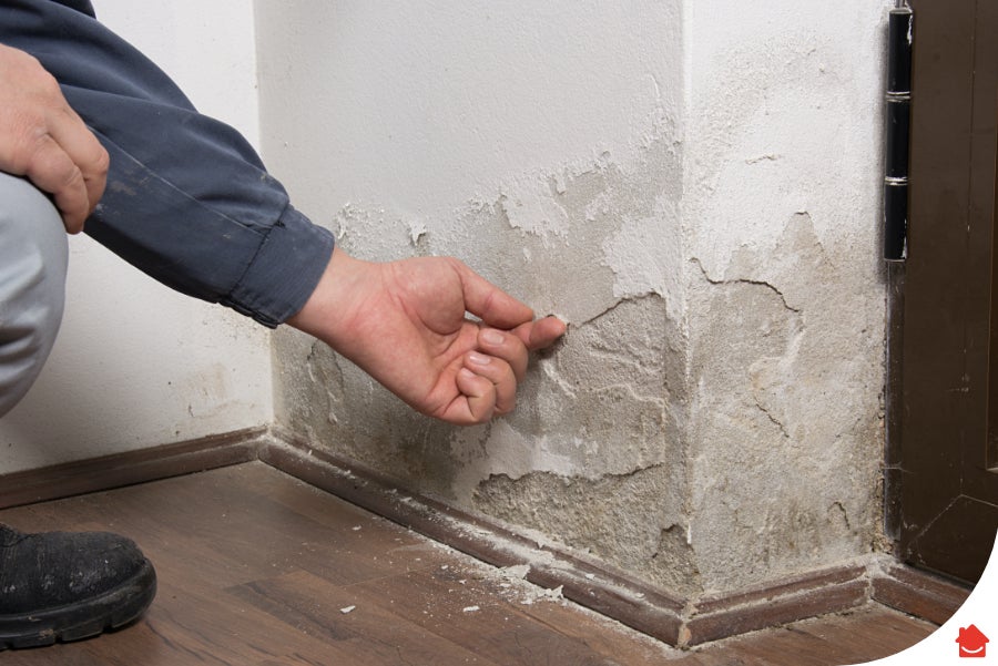 Person checking to see if their wall is damp before they paint it.