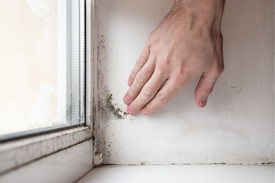 Mould on the inside of a window due to condensation