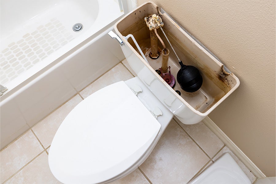 An image of a toiler system with a ball-and-arm float