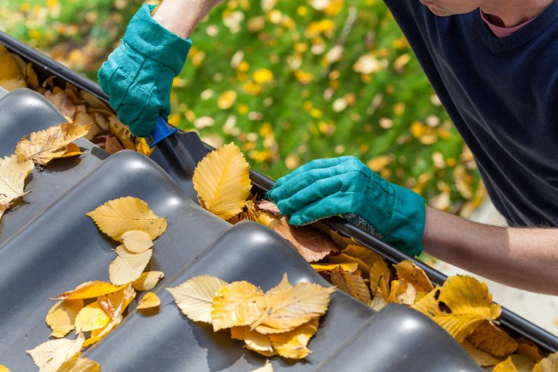 Man wearing gloves cleaning leaf litter out of gutters