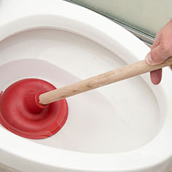 Unblocking toilet with plunger